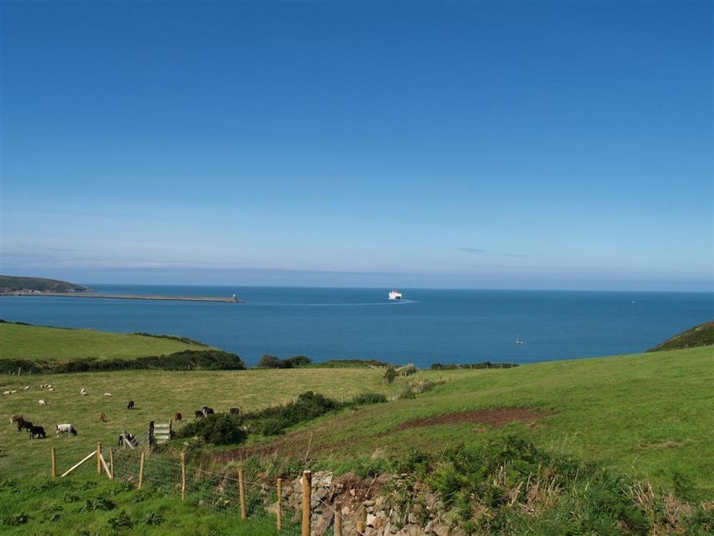 Cable Cottage Fishguard Exteriör bild